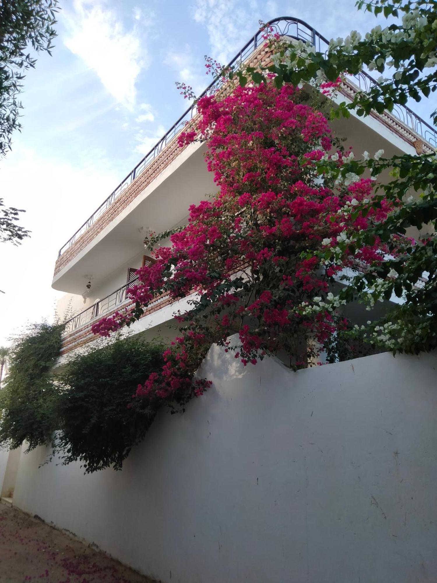 Villa Quiet Place Luxor Luaran gambar